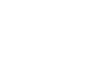 Logo NEP 2019 BRANCA1 2